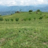 FINCA TAMESIS SUROESTE Cod. FC-0110